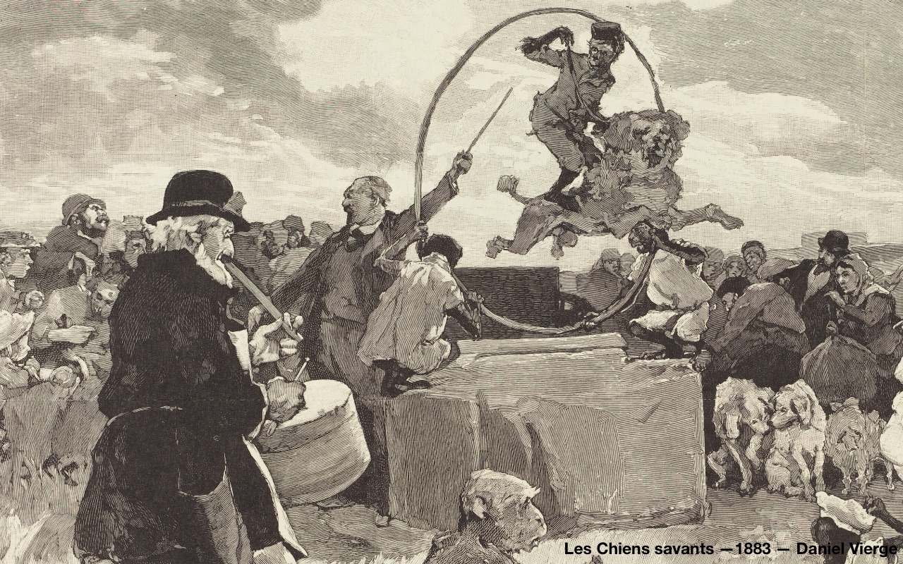 Les Chiens savants - 1883 - Daniel Vierge