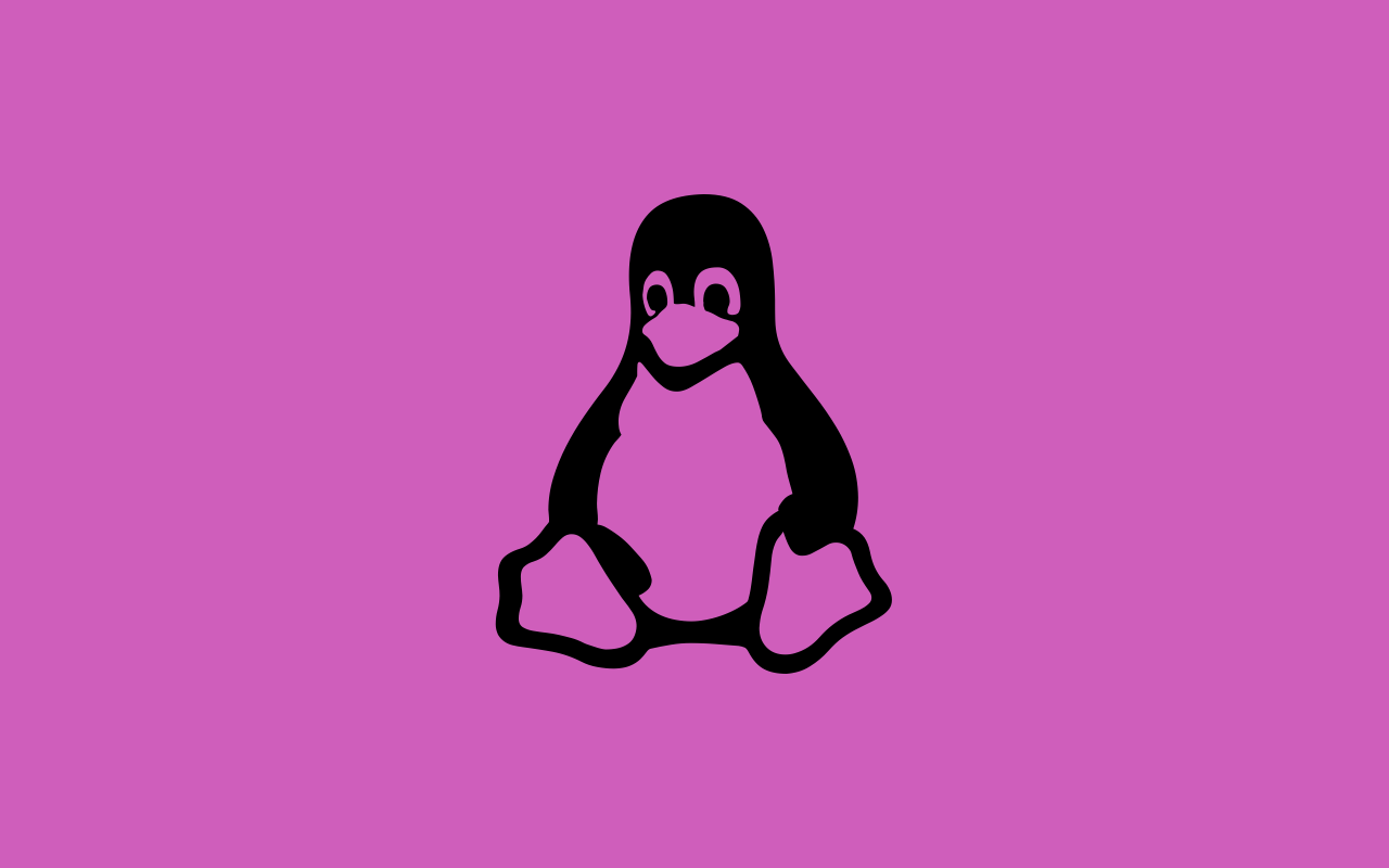 Illustration de la formation d'introduction à Linux et au terminal